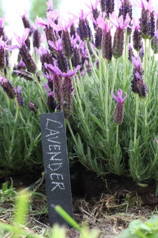 GT131 - Slate Plant Marker (Set Of 6)