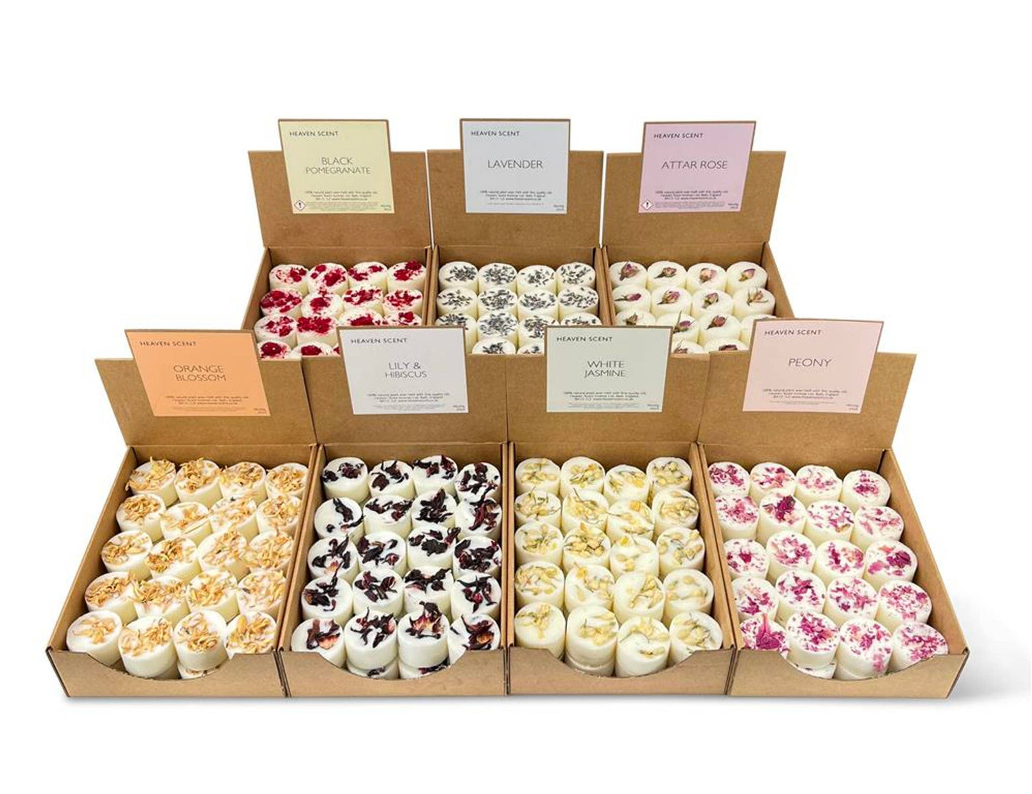 Botanical 20g Wax Melt Pucks - Box of 40