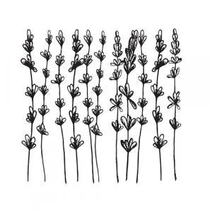 Lavender Essential Oil: Lavandula angustifolia 10ml