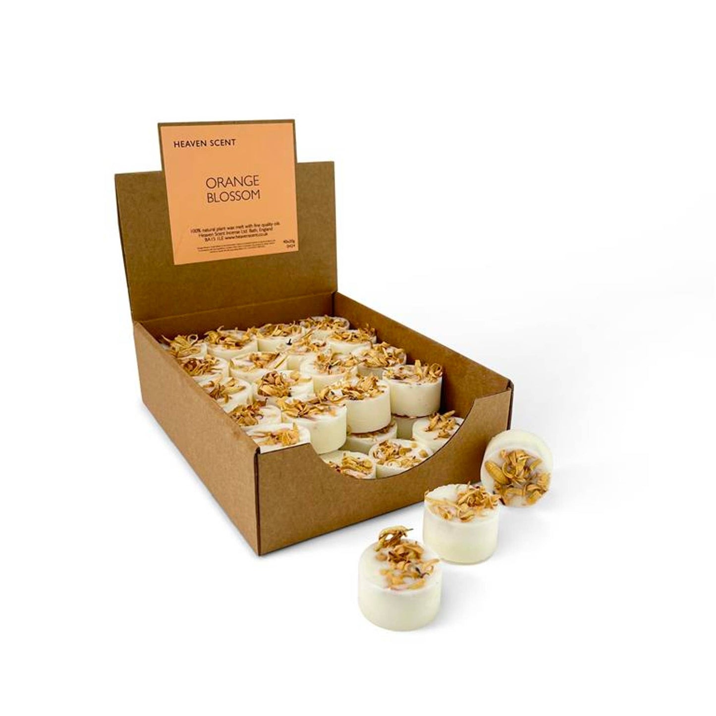 Botanical 20g Wax Melt Pucks - Box of 40