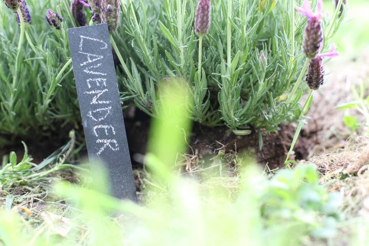 GT131 - Slate Plant Marker (Set Of 6)