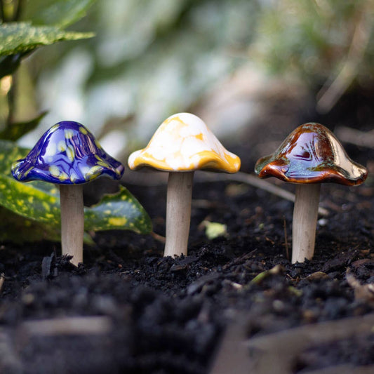 Ceramic Mushroom Plant Pot Decorations in Display