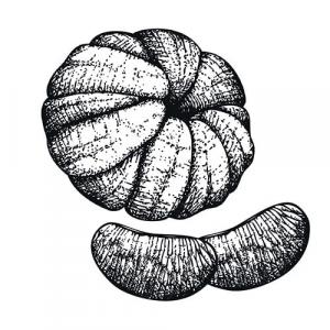 MANDARIN - PURE ESSENTIAL OIL - Citrus nobilis